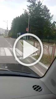 Лоси бегают по Саянску 🇷🇺 Источник: ЧП Иркутск