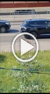 Семья уток чудом не погибла под колесами авто на проспекте Красноярский рабочий