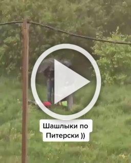 Типичное питерское застолье заметили в одном из дворов...