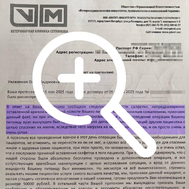 В Санкт-Петербурге собаке вместе с больной почкой удалили...