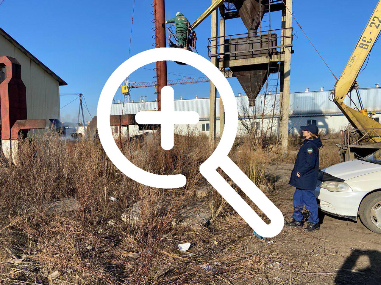 🌳 Экологический произвол в Канске: прокуратура направила...