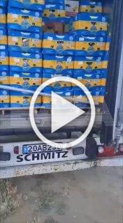 Школьник так хотел сладкого, что похитил 30 иранских арбузов прямо из фуры