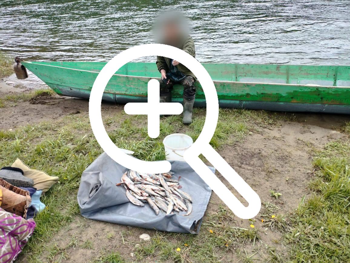 «Наперекор запрету»: в Курагинском районе полицейскими пресечена нелегальная добыча рыбы двумя мужчинами