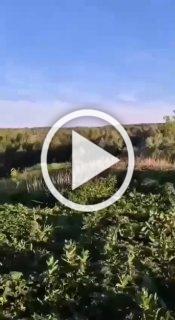 ❗️Сбитие украинского беспилотника 