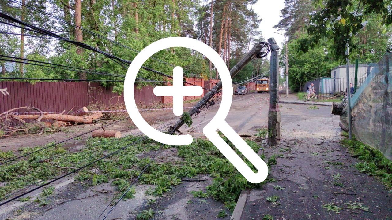 Из-за вчерашнего ветра в Подмосковье попадало множество...