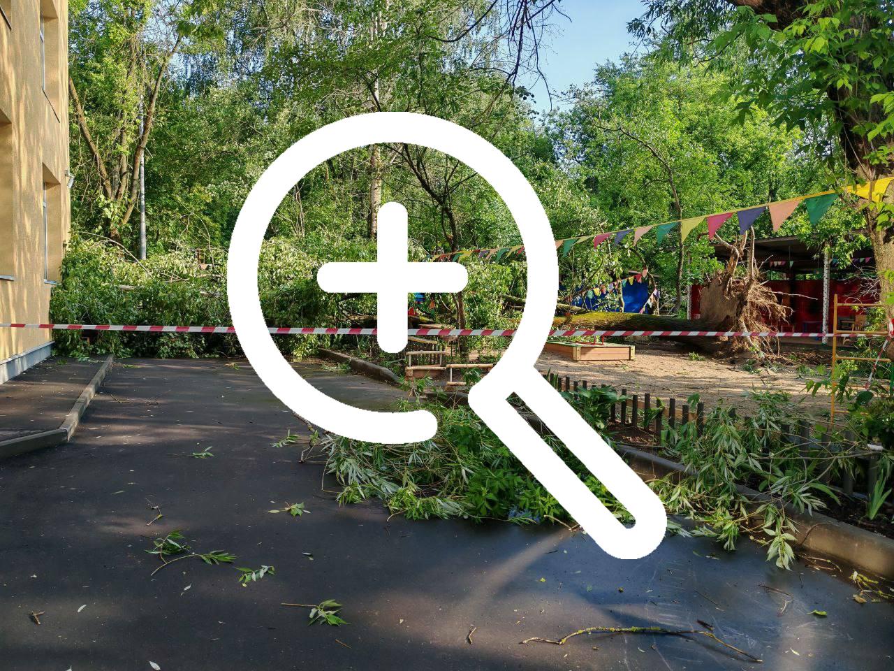 Из-за вчерашнего ветра в Подмосковье попадало множество...