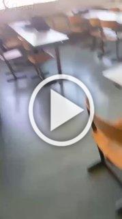 Пятеро погибших, двое раненых в результате вооруженного нападения на школу в Австрии