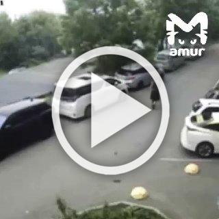 Уличный боец напал на слесаря во Владивостоке. Пытался ещё навалять машине, но та увернулась.
