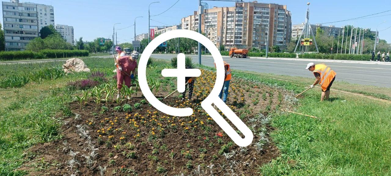 В Оренбурге высадили 6000 цветочных корней. 🌺 Озеленители...