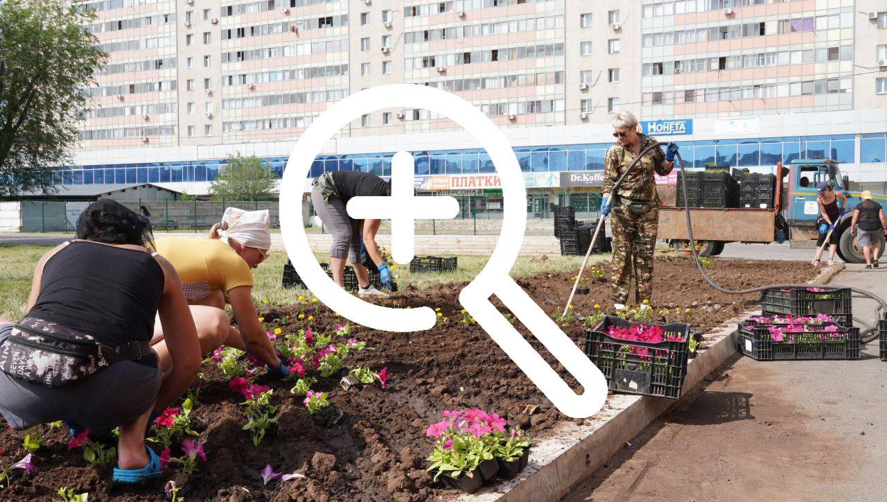 В Оренбурге высадили 6000 цветочных корней. 🌺 Озеленители...