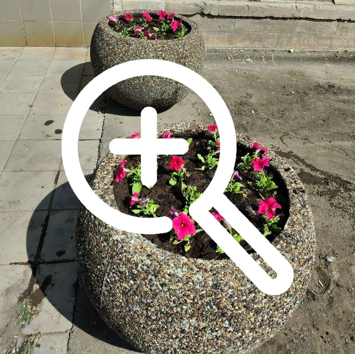 В Оренбурге высадили 6000 цветочных корней. 🌺 Озеленители...