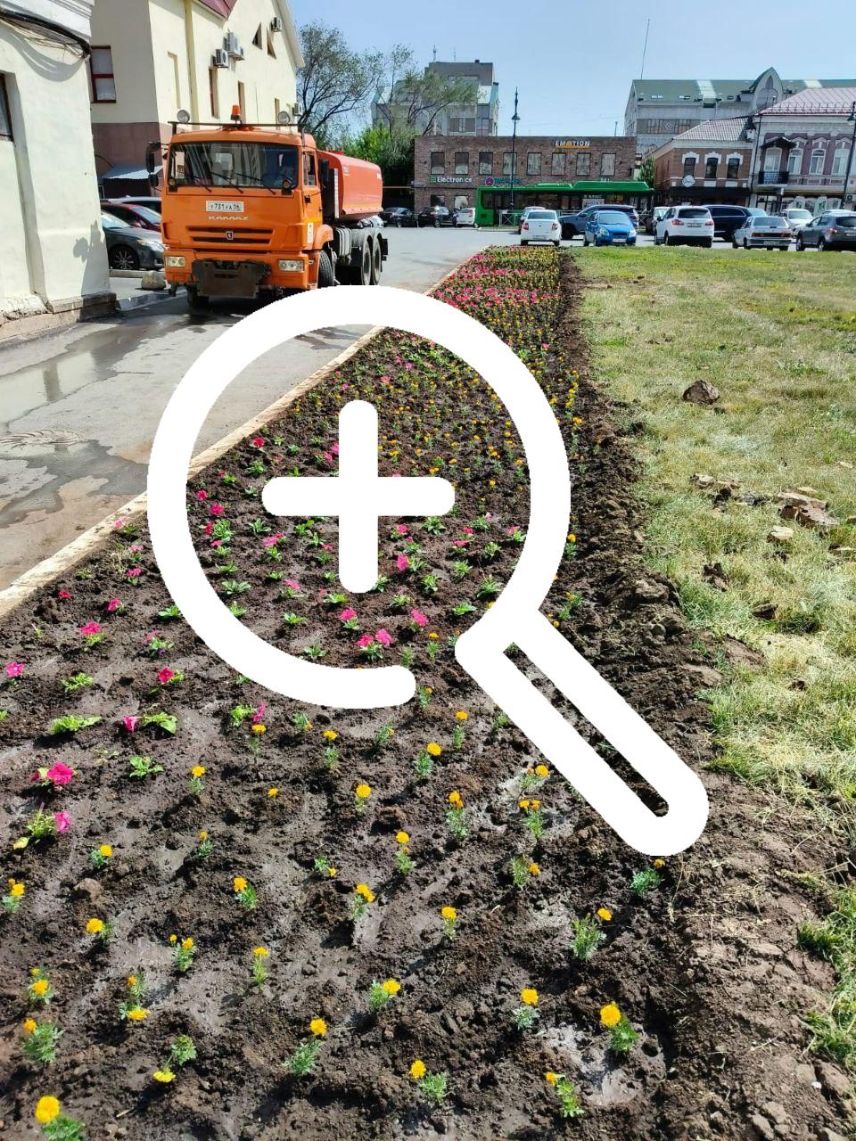 В Оренбурге высадили 6000 цветочных корней. 🌺 Озеленители...