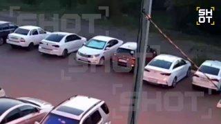 Несовершеннолетний байкер намеренно переехал щенка-кокера в Воронежской области и показал фак хозяйке.