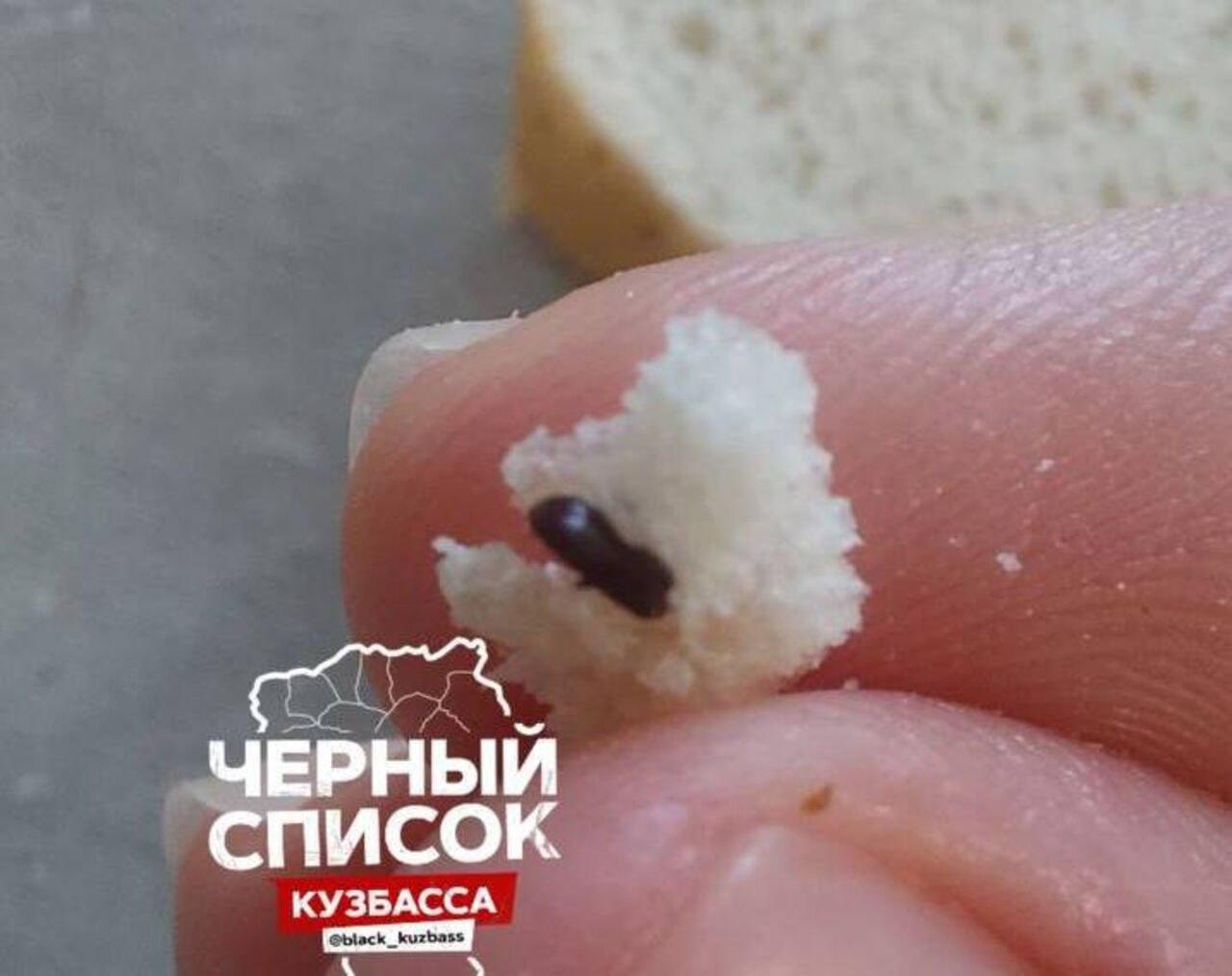 Кемеровчанин купил в магазине свежий батон с жуками