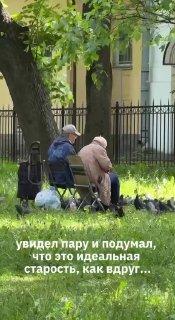 В Петербурге заметили мирно отдыхающих пенсионеров…а, ой...