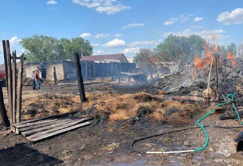 В селе Изобильное Соль-Илецкого МО на площади 500 м²...