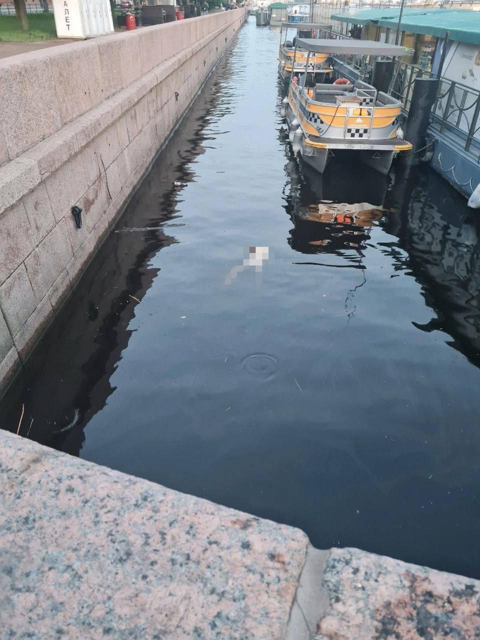 У Дворцового моста из Невы вытащили тело молодой девушки....