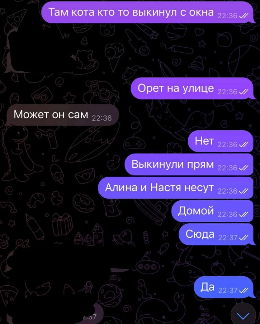 В Междуреченске на ул. Пушкина, 2 живодеры выбросили кошку с балкона.