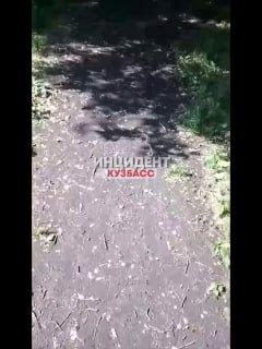 В одном из дворов Заводского района Новокузнецка...