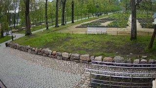 Мощный лось пробежался по аллеям парка «Монрепо». 🇷🇺...