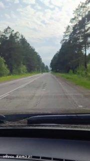 Жители Нижней Поймы сняли на видео медвежонка на местном...