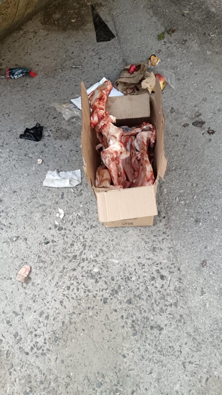 На Никитина, 62, двор в ужасном состоянии: мусорка —...