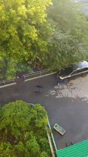 На Никитина, 62, двор в ужасном состоянии: мусорка —...