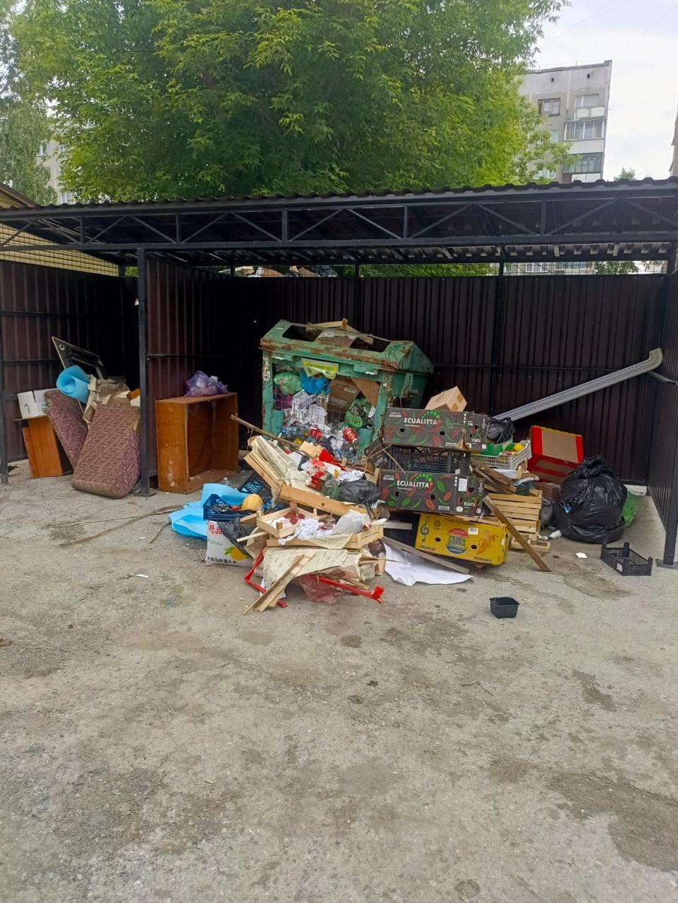 На Никитина, 62, двор в ужасном состоянии: мусорка —...