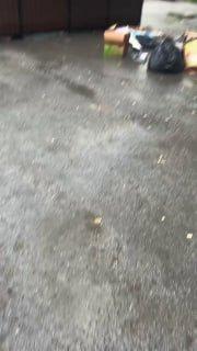 На Никитина, 62, двор в ужасном состоянии: мусорка —...