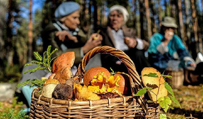 В 2025 году ужесточились наказания за сбор некоторых...