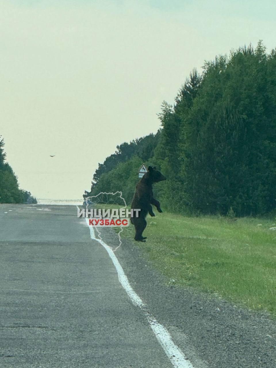 пишут в сети.
