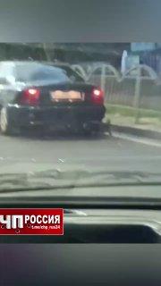 В Мариуполе живодер привязал собаку к машине и таскал ее по улицам — неадеквата не остановили даже просьбы местных жителей