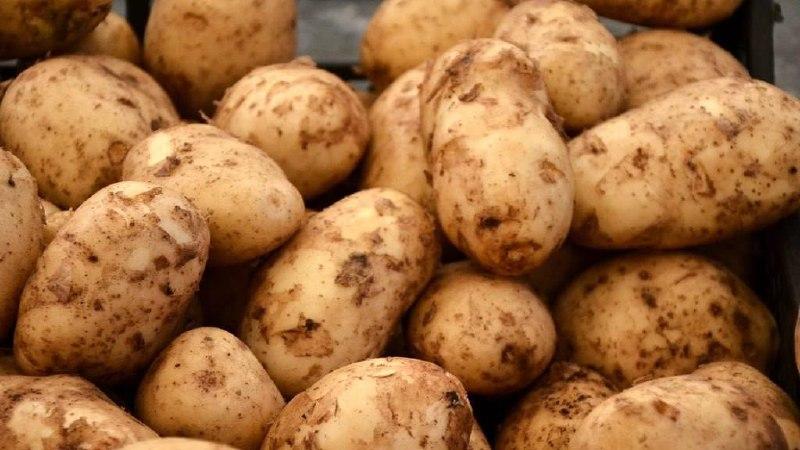 Инфляция в Кузбассе: продукты и бензин дорожают, яйца дешевеют