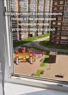 Во дворе в Петербурге заметили собрание Человеков-пауков....