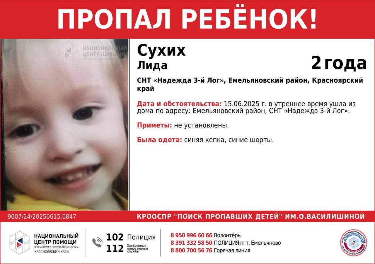 Утром в СНТ «Надежда 3-й Лог» пропала двухлетняя девочка