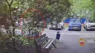 В Подмосковье мужчина вырастил дома почти 400 кустов...