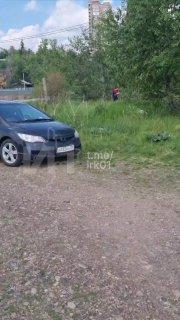 На острове Конный заметили странную парочку. Парень с...