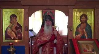 Патриарх Кирилл призвал «гнать прочь» противников мусульман