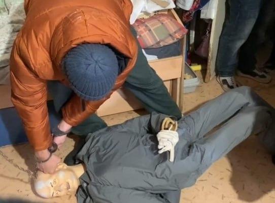 Житель Новосибирска убил бабушку и четырех её кошек