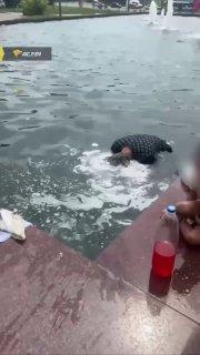 В Новосибирске фонтан стал настоящей общественной баней для двух цыганских женщин и их детей.