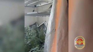 Красноярец, который выращивал в домашней теплице 63 куста наркосодержащего растения предстанет перед судом