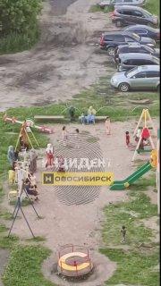 В Первомайском районе, во дворе дома Чапаева 3,...