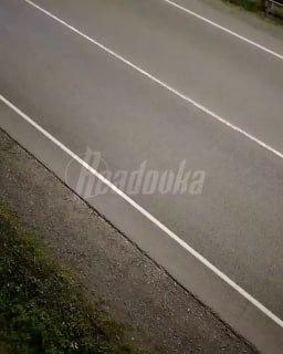 В Приморском крае мужик в свободное время любит зависать на фонарных столбах — смотрим, что было бы, если бы вороны снимали рилсы