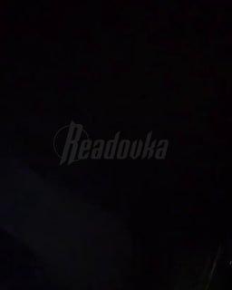 В Приморском крае мужик в свободное время любит зависать на фонарных столбах — смотрим, что было бы, если бы вороны снимали рилсы