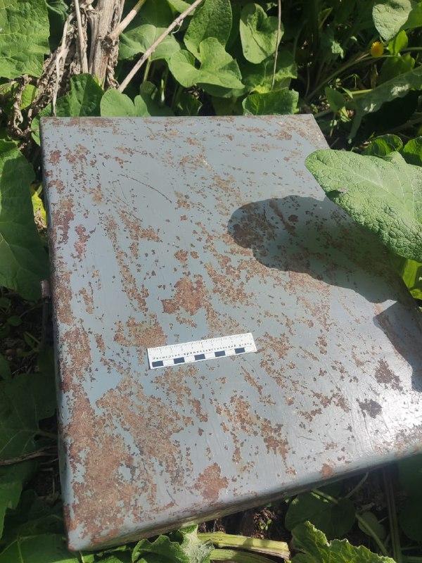 В Оренбуржье подростки украли у пенсионера сундук с...