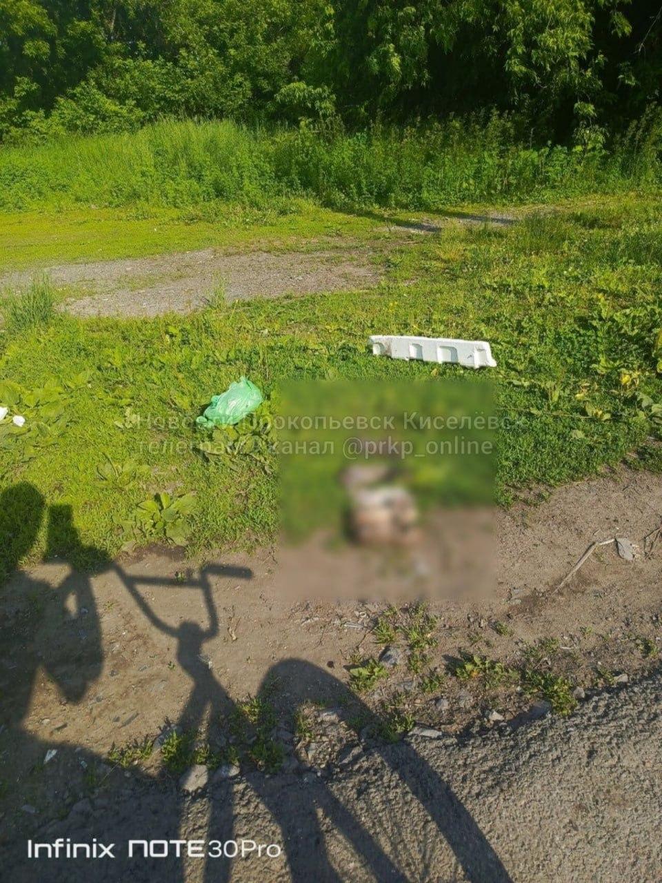 Щенков убили школьники ради хайпа. Убийство запечатлели...
