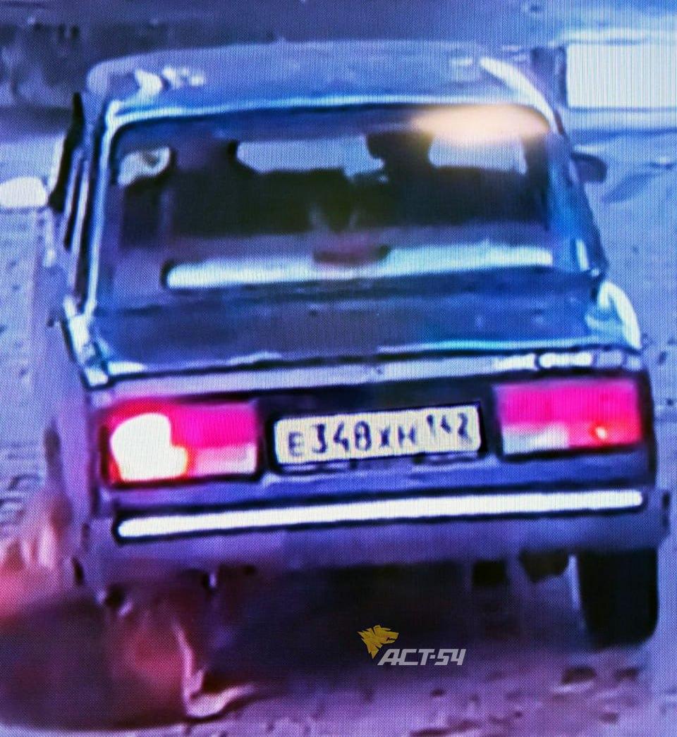 Водитель Жигулей нарочно проехал по собаке на АЗС Транзит в Пашино, после чего уехал