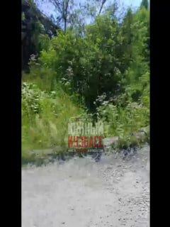 В Таштаголе сливают грязь с закладочного комплекса в реку Кондома