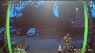 Воришки вазонов с цветами активизировались в Новосибирске