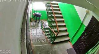 Бежицкий район, улица Орловская 22 Данный 